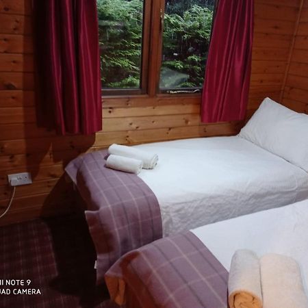 Lurchers Cabin Aviemore Zewnętrze zdjęcie